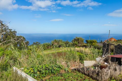 Byhus i Porto Moniz, Madeira, Porto Moniz - € 155.000 | Ref: 00572-MN - foto 46