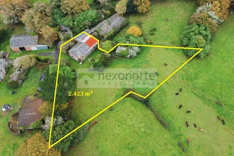 Landejendom i Xermade, Lugo, Xermade - € 42.000 | Ref: 1180 - foto 14