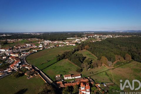 Byhus i Estarreja, Aveiro, Estarreja - € 395.000 | Ref: 737334 - foto 34
