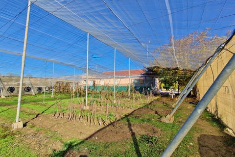 Landejendom i Jayena, Granada, Jayena - € 115.000 | Ref: G184 - foto 36