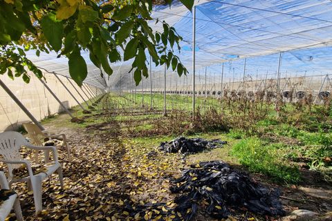 Landejendom i Jayena, Granada, Jayena - € 115.000 | Ref: G184 - foto 32