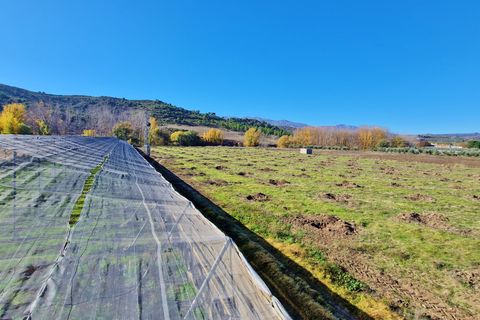 Landejendom i Jayena, Granada, Jayena - € 115.000 | Ref: G184 - foto 4