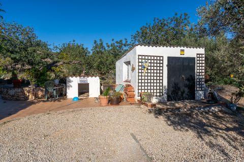 Villa i Tortosa, Tarragona, Tortosa - € 295.000 | Ref: 301 - foto 44