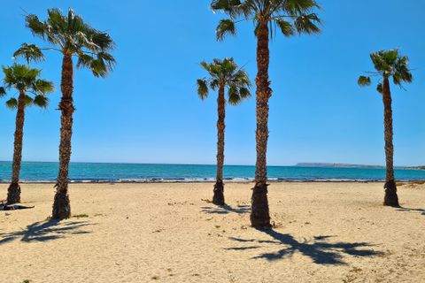 Lejlighed i Alicante, Alicante - foto 4