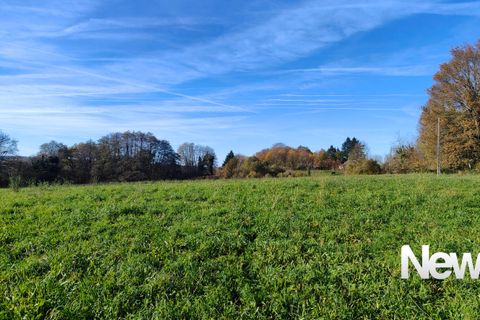 Helårsgrund i Sadroc, Correze, Sadroc - € 70.000 | Ref: PM-5265 - foto 7