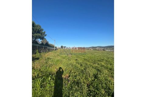 Helårsgrund i Barcelos, Braga, Barcelos - € 680.000 | Ref: CFB-700-80 - foto 1