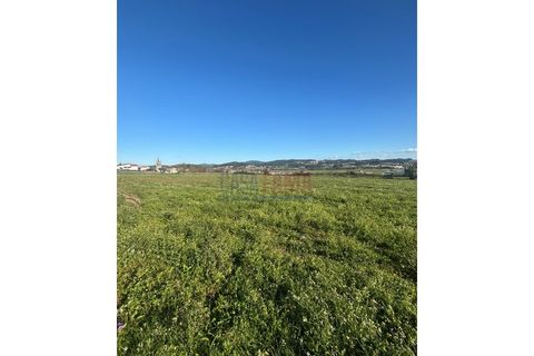 Helårsgrund i Barcelos, Braga, Barcelos - € 680.000 | Ref: CFB-700-80 - foto 2