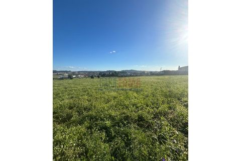 Helårsgrund i Barcelos, Braga, Barcelos - € 680.000 | Ref: CFB-700-80 - foto 3