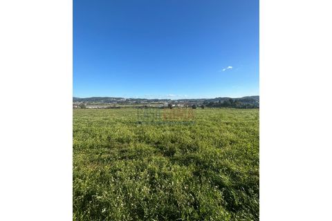 Helårsgrund i Barcelos, Braga, Barcelos - € 680.000 | Ref: CFB-700-80 - foto 4