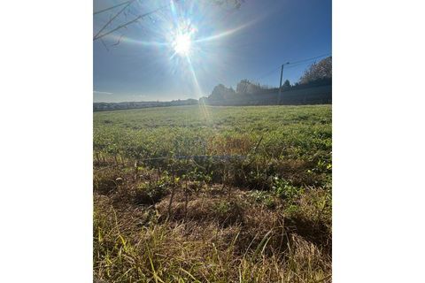 Helårsgrund i Barcelos, Braga, Barcelos - € 680.000 | Ref: CFB-700-80 - foto 6