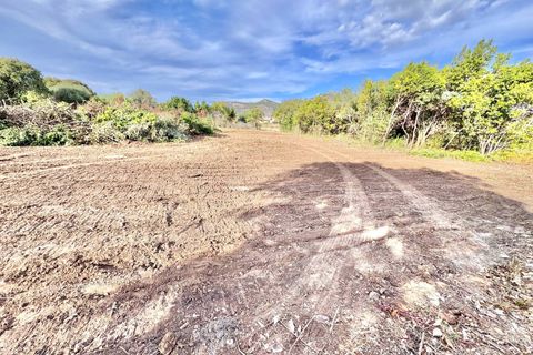 Helårsgrund i Palermo, Palermo, Palermo - € 38.000 | Ref: 54279423 - foto 2