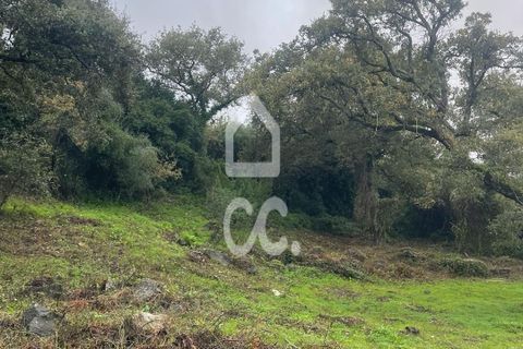 Helårsgrund i Loures, Lisbon, Loures - € 79.000 | Ref: 405/T/00101 - foto 3