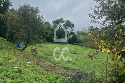Helårsgrund i Loures, Lisbon, Loures - € 79.000 | Ref: 405/T/00101 - foto 5