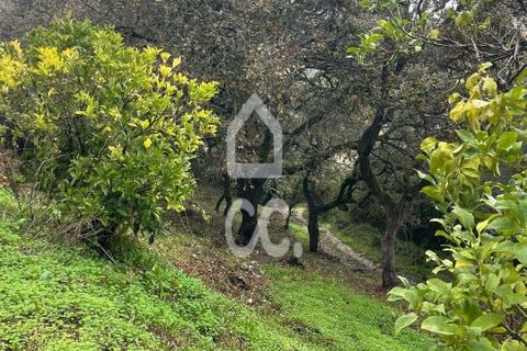 Helårsgrund i Loures, Lisbon, Loures - € 79.000 | Ref: 405/T/00101 - foto 9
