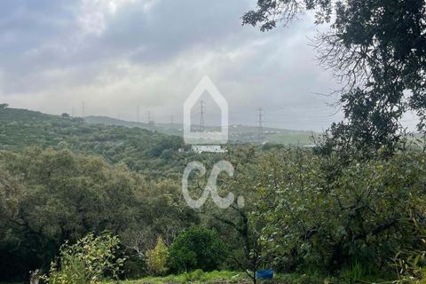 Helårsgrund i Loures, Lisbon, Loures - € 79.000 | Ref: 405/T/00101 - foto 14