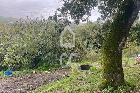Helårsgrund i Loures, Lisbon, Loures - € 79.000 | Ref: 405/T/00101 - foto 15