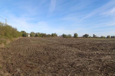 Farm i Beja, Beja, Beja - € 295.000 | Ref: 2087 - foto 1