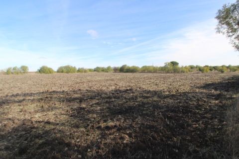 Farm i Beja, Beja, Beja - € 295.000 | Ref: 2087 - foto 3