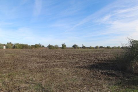 Farm i Beja, Beja, Beja - € 295.000 | Ref: 2087 - foto 5