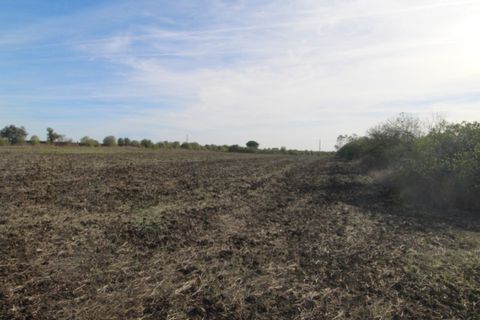 Farm i Beja, Beja, Beja - € 295.000 | Ref: 2087 - foto 6