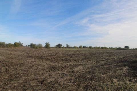 Farm i Beja, Beja, Beja - € 295.000 | Ref: 2087 - foto 7