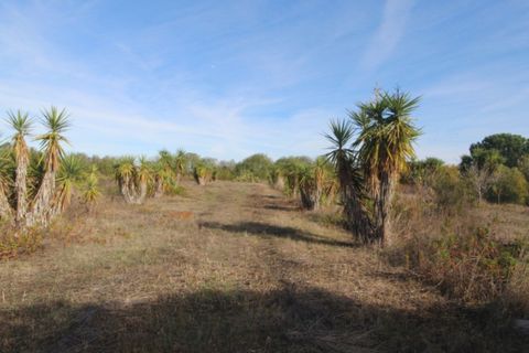 Farm i Beja, Beja, Beja - € 295.000 | Ref: 2087 - foto 8