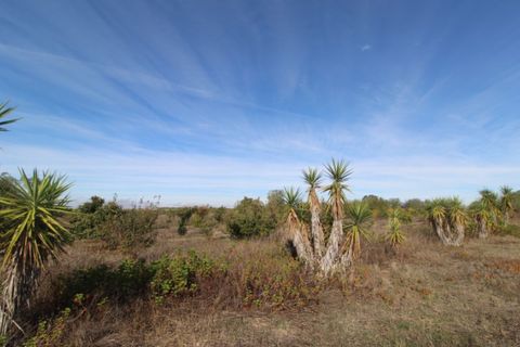 Farm i Beja, Beja, Beja - € 295.000 | Ref: 2087 - foto 9
