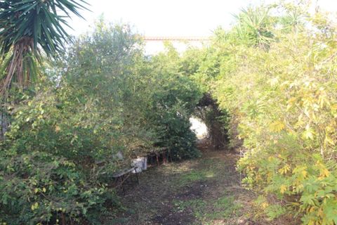 Farm i Beja, Beja, Beja - € 295.000 | Ref: 2087 - foto 11