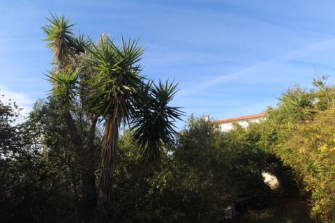 Farm i Beja, Beja, Beja - € 295.000 | Ref: 2087 - foto 12