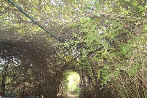 Farm i Beja, Beja, Beja - € 295.000 | Ref: 2087 - foto 13