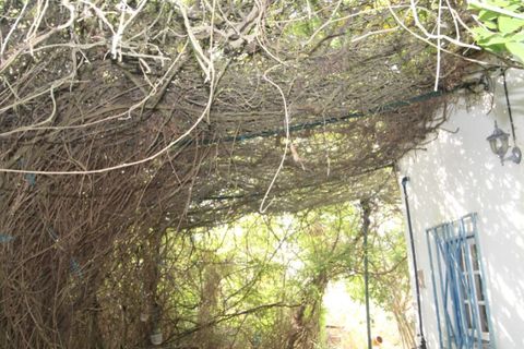 Farm i Beja, Beja, Beja - € 295.000 | Ref: 2087 - foto 14