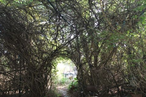 Farm i Beja, Beja, Beja - € 295.000 | Ref: 2087 - foto 15