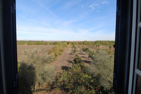 Farm i Beja, Beja, Beja - € 295.000 | Ref: 2087 - foto 26