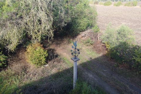 Farm i Beja, Beja, Beja - € 295.000 | Ref: 2087 - foto 31