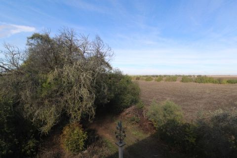 Farm i Beja, Beja, Beja - € 295.000 | Ref: 2087 - foto 32