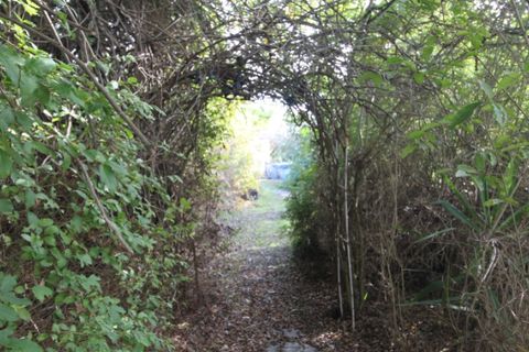 Farm i Beja, Beja, Beja - € 295.000 | Ref: 2087 - foto 33