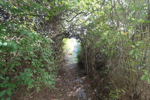 Farm i Beja, Beja, Beja - € 295.000 | Ref: 2087 - foto 34