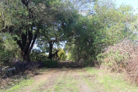 Farm i Beja, Beja, Beja - € 295.000 | Ref: 2087 - foto 36