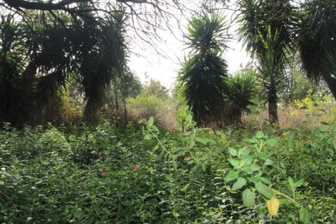 Farm i Beja, Beja, Beja - € 295.000 | Ref: 2087 - foto 40