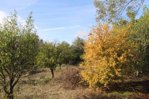 Farm i Beja, Beja, Beja - € 295.000 | Ref: 2087 - foto 42