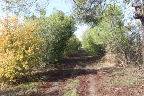 Farm i Beja, Beja, Beja - € 295.000 | Ref: 2087 - foto 43