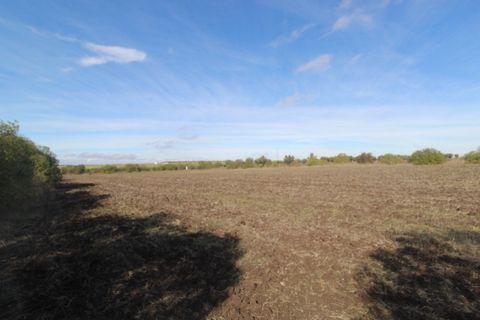 Farm i Beja, Beja, Beja - € 295.000 | Ref: 2087 - foto 44