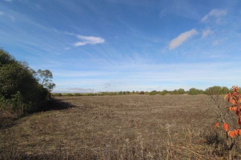 Farm i Beja, Beja, Beja - € 295.000 | Ref: 2087 - foto 45