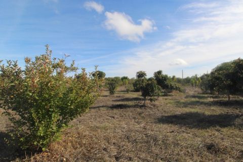 Farm i Beja, Beja, Beja - € 295.000 | Ref: 2087 - foto 46