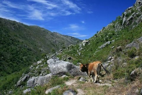Lejlighed i Melgaco, Viana do Castelo, Melgaco - € 93.000 | Ref: SF-SAFTI:007444 - foto 7