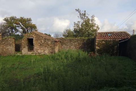 Villa a Estarreja, Aveiro, Estarreja - € 148.000 | Ref: SF-SAFTI:007419 - foto 6