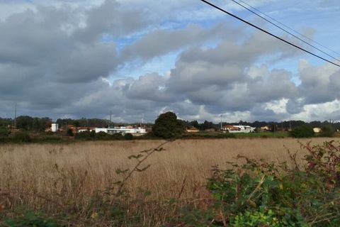 Villa a Estarreja, Aveiro, Estarreja - € 148.000 | Ref: SF-SAFTI:007419 - foto 7