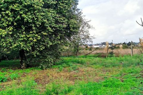 Villa a Estarreja, Aveiro, Estarreja - € 148.000 | Ref: SF-SAFTI:007419 - foto 24