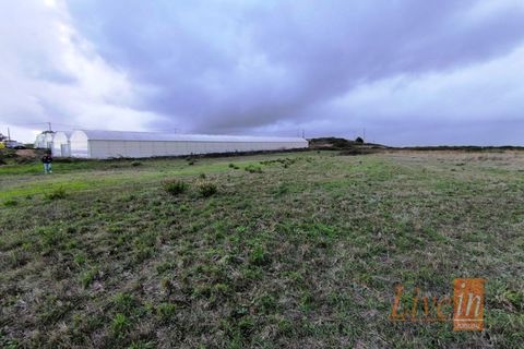 Helårsgrund i Lousa, Coimbra, Lousa - € 850.000 | Ref: 9851RP - foto 6
