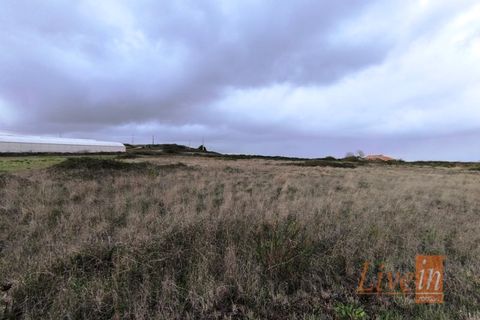 Helårsgrund i Lousa, Coimbra, Lousa - € 850.000 | Ref: 9851RP - foto 8